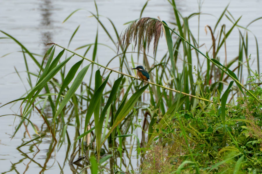 (스압) 한꺼번에 드랍~ 25년도 3분기 탐조_70.webp