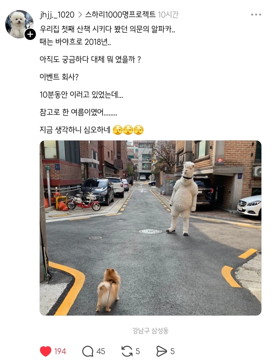 쓰래드에서 퍼 온 사진 알파카_2.webp