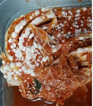 사실 먹어도 괜찮은 김치 상태_1.webp