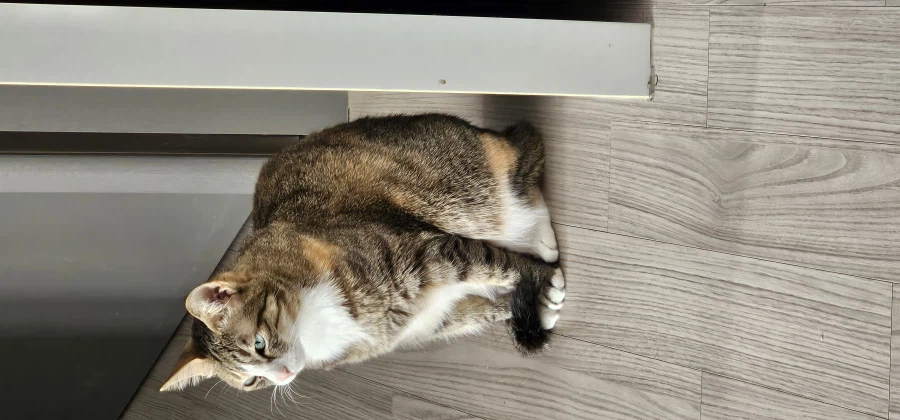 누나가 갑자기 카톡을 보냈다_2.webp