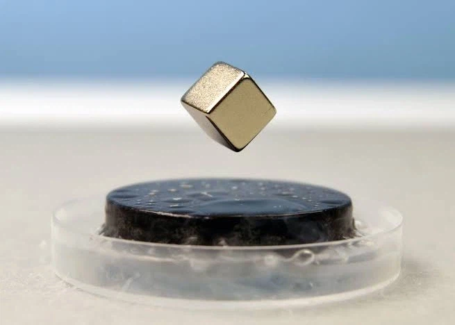 솔직히 진짜였으면 했던 거짓.png_1.webp