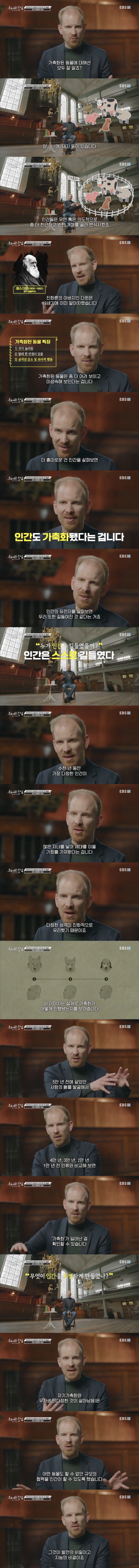 인간이 가장 먼저 가축화시킨 동물_1.webp