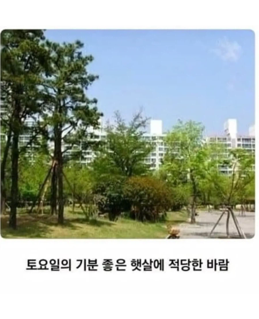 20년전 초등학교 풍경.jpg_8.webp
