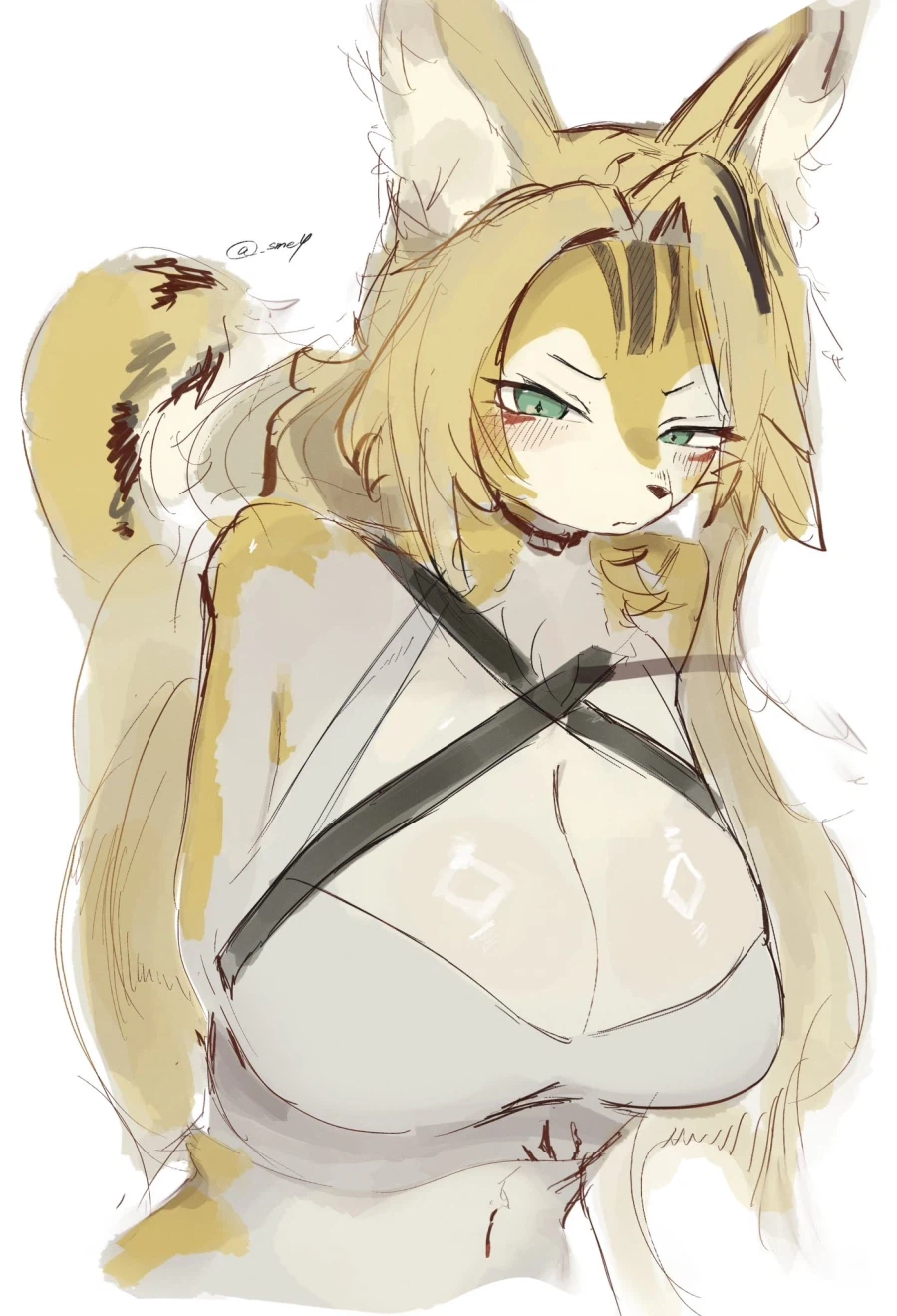 유혹하는 퍼리 여러장_7.webp