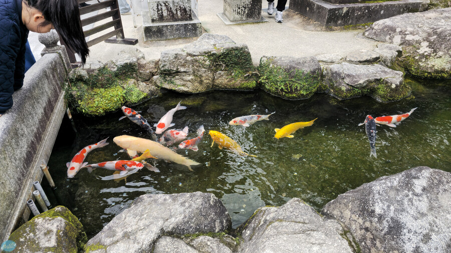 한국인 관광객들이 많이 가는 장소에 가봤는데.. 후쿠오카 2일차_42.jpg