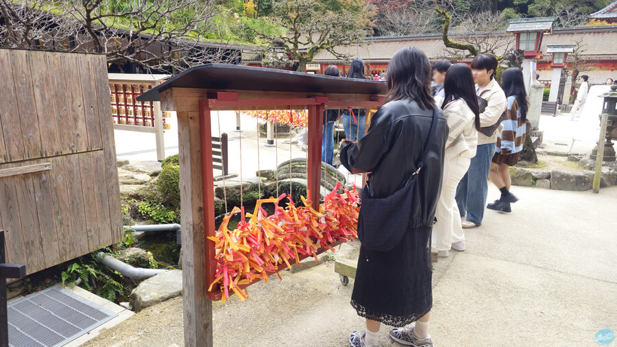 한국인 관광객들이 많이 가는 장소에 가봤는데.. 후쿠오카 2일차_44.jpg