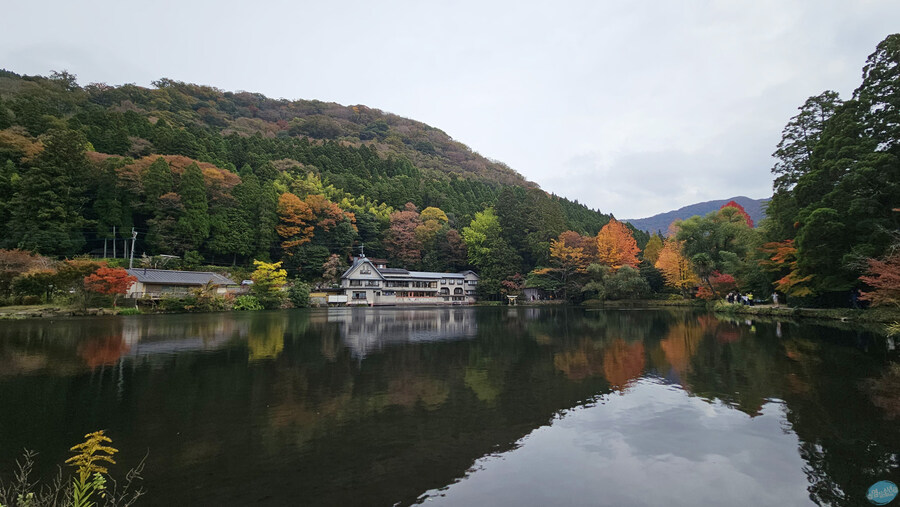 한국인 관광객들이 많이 가는 장소에 가봤는데.. 후쿠오카 2일차_86.jpg