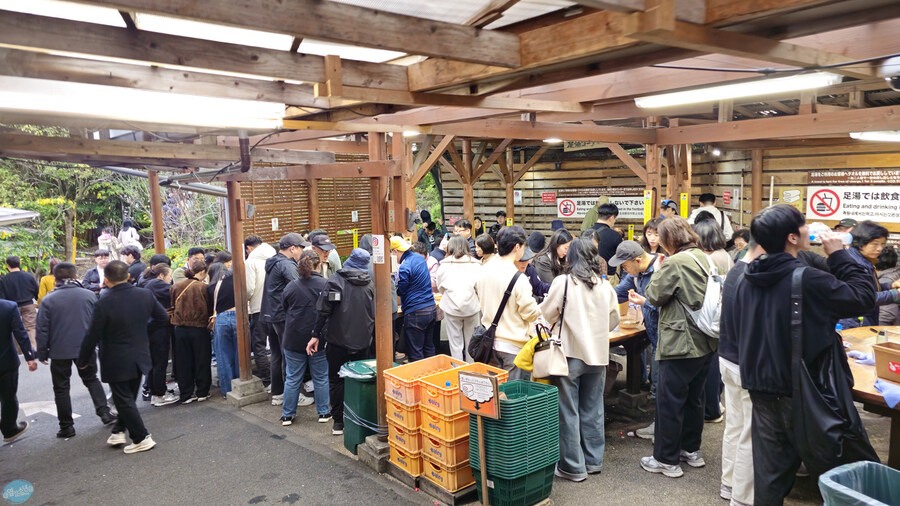 한국인 관광객들이 많이 가는 장소에 가봤는데.. 후쿠오카 2일차_155.jpg