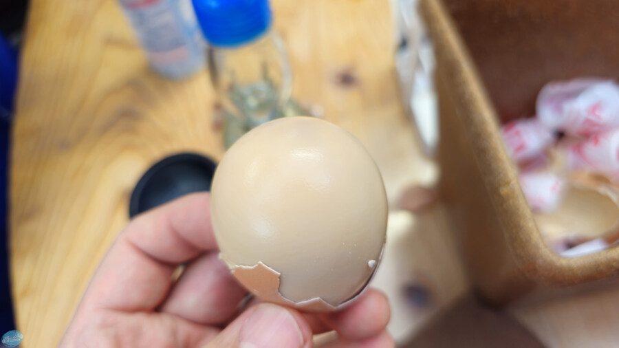 한국인 관광객들이 많이 가는 장소에 가봤는데.. 후쿠오카 2일차_158.jpg