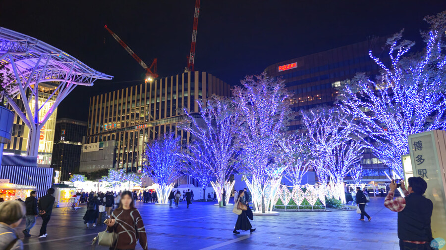 한국인 관광객들이 많이 가는 장소에 가봤는데.. 후쿠오카 2일차_208.jpg