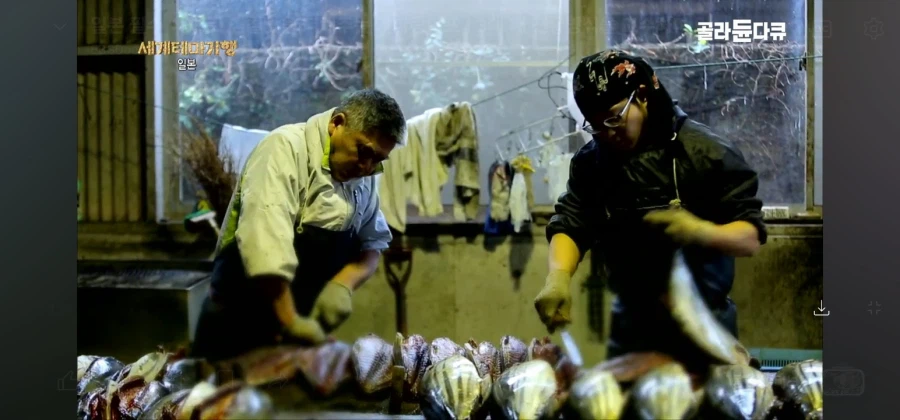 일본 가다랑어포 공장 위생 베글의 진실_1.webp