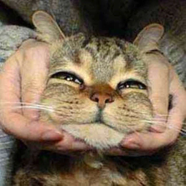 [혐] 이 와중에 또 사고 친 "그 인간"_7.webp