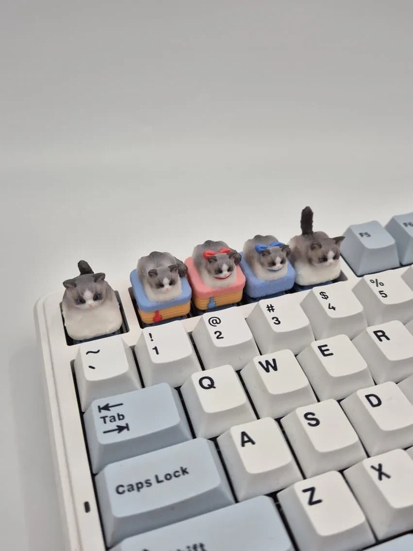 자기 집 고양이 키캡이 실물로 완성되어서 올린 키캡러.jpg_2.webp