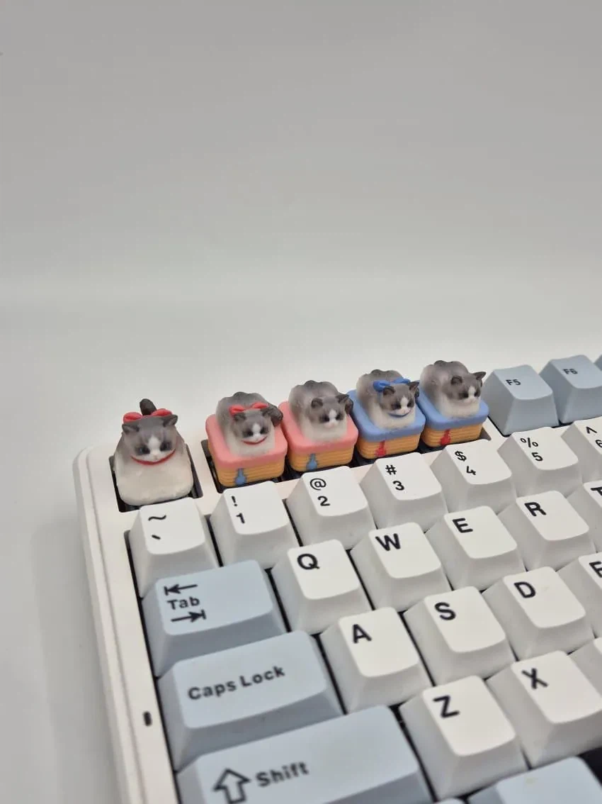 자기 집 고양이 키캡이 실물로 완성되어서 올린 키캡러.jpg_3.webp