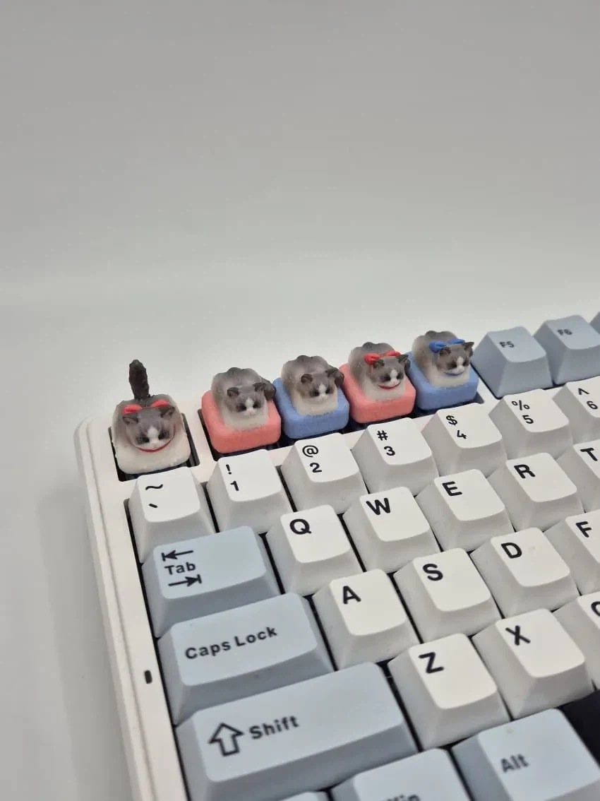 자기 집 고양이 키캡이 실물로 완성되어서 올린 키캡러.jpg_4.webp