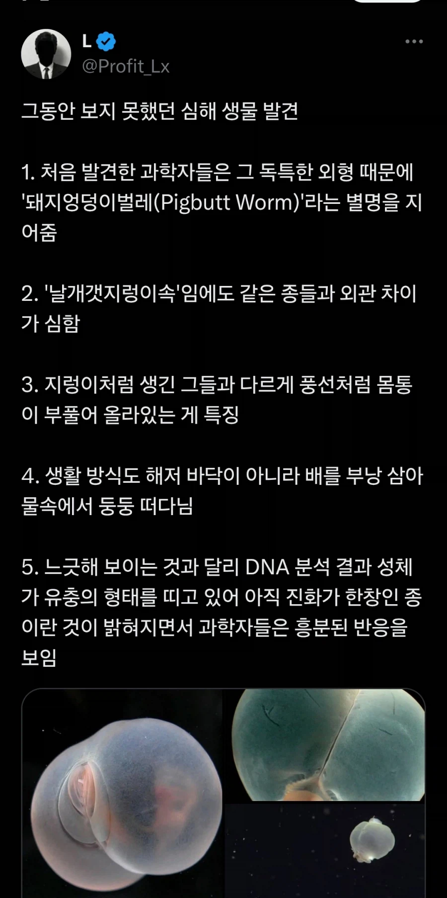 새롭게 발견된 심해생물_4.webp