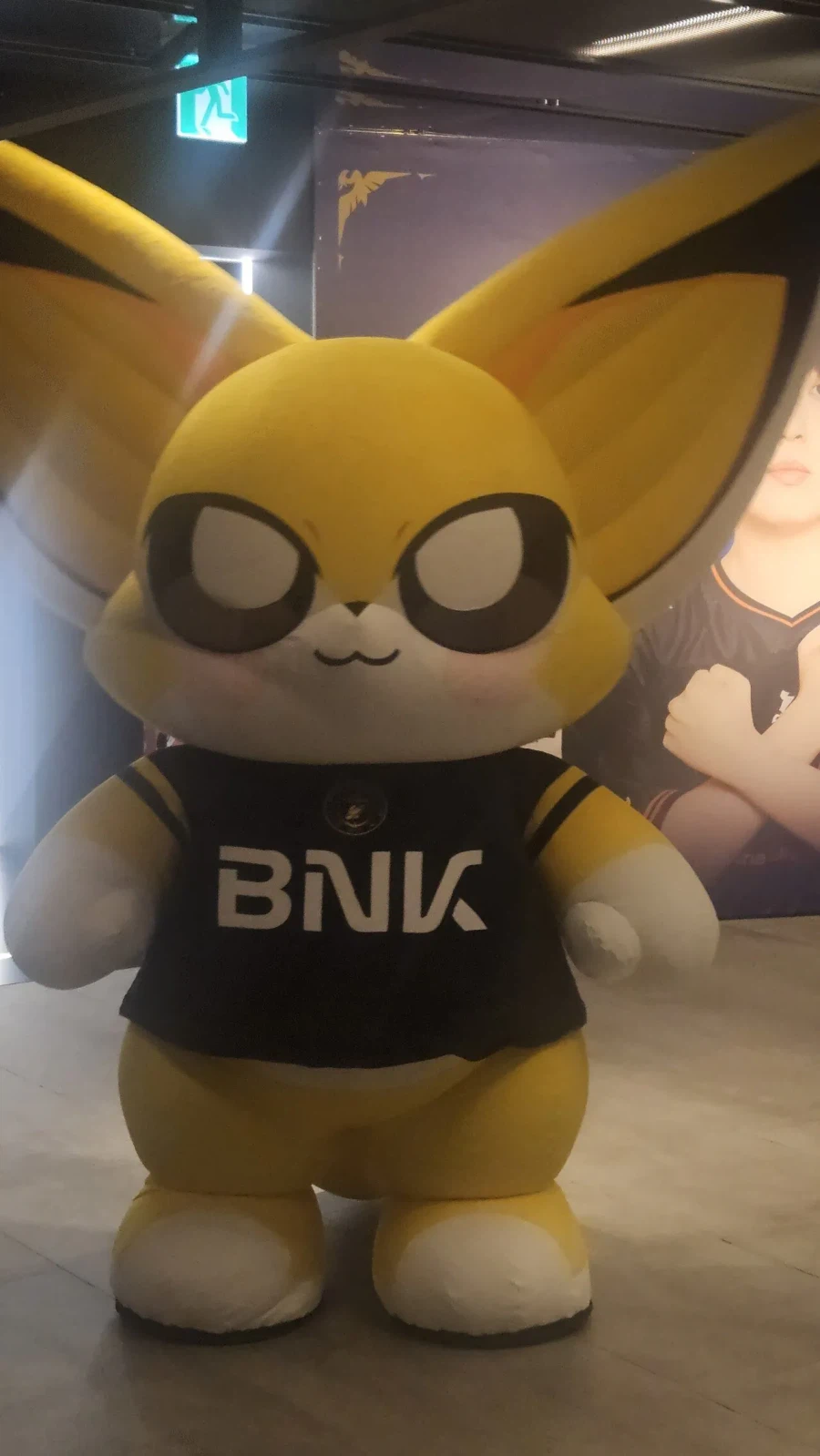 롤 롤파크에 넥스 등장