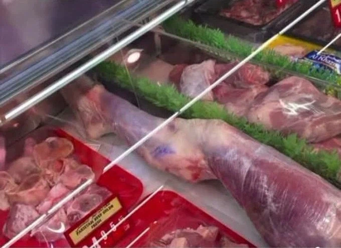 수상한 고기_1.webp