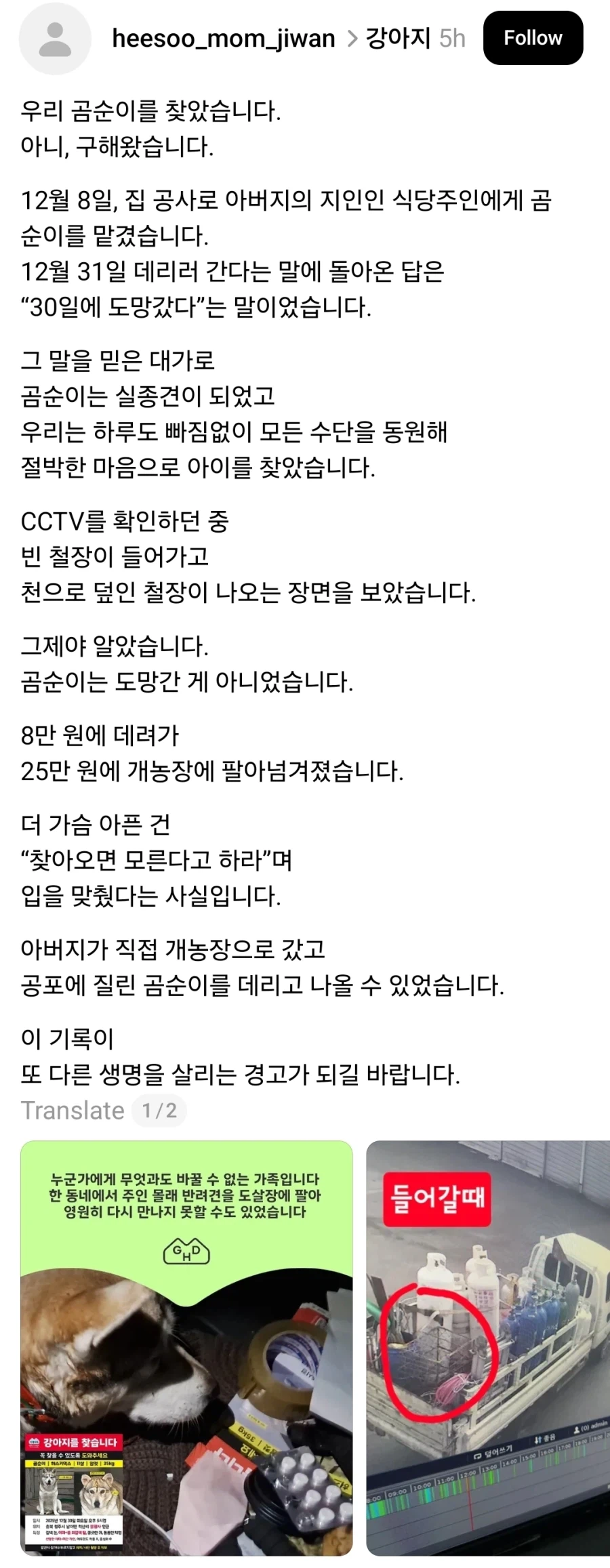 지인 식당에 개 맡겼더니 팔아버림_1.webp
