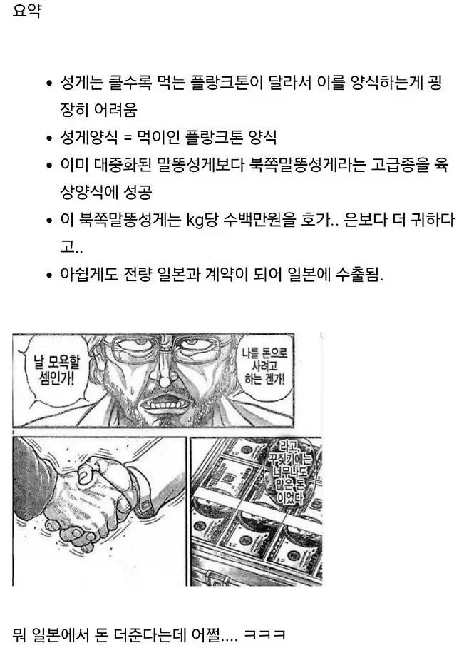 품질 좋은 양식 성게를 한국인은 못 먹는 이유.jpg_2.webp