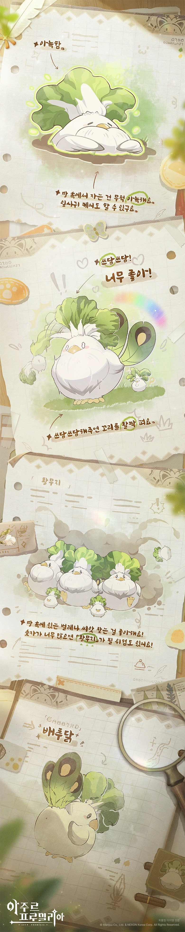 아주르 프로밀리아, 키보 관찰기록 | 배추닭 편_1.webp