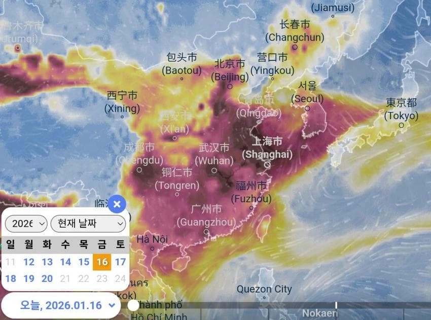 짱ㄲㅐ발 미세먼지 근황...._3.webp