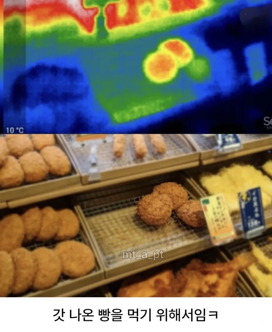 나이가 40을 넘으니까 이거 세가지는 꼭 지켜야되더라_1.webp