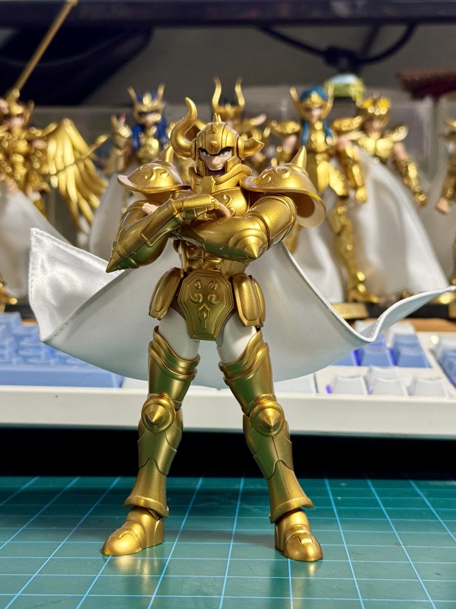 블로키 골드세인트용 망토를 샀어요._9.webp