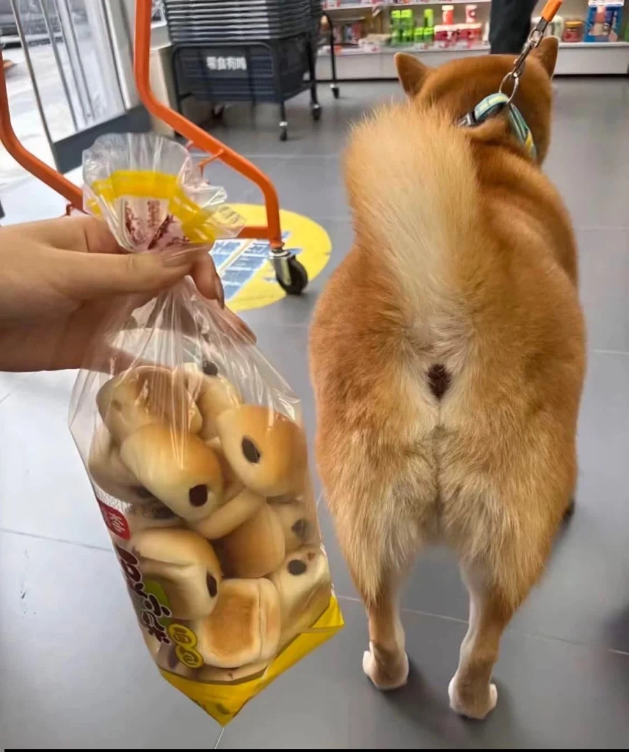 빵을 샀는데 묘하게 낯이 익다_1.webp