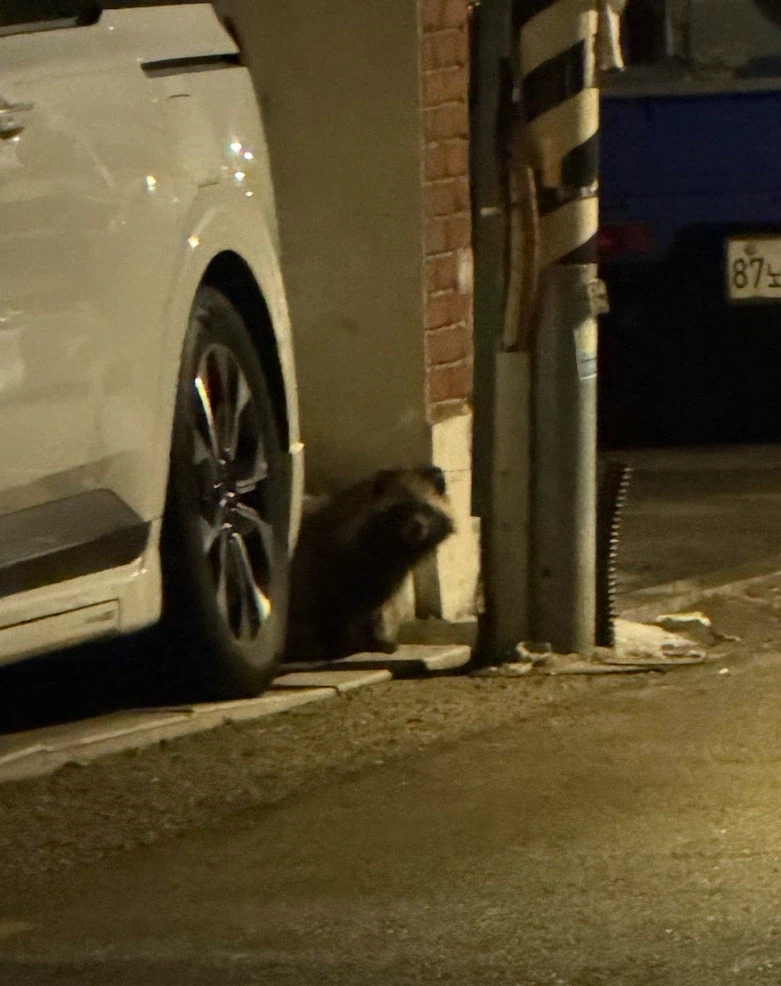 강북구가 위험한 이유_1.webp