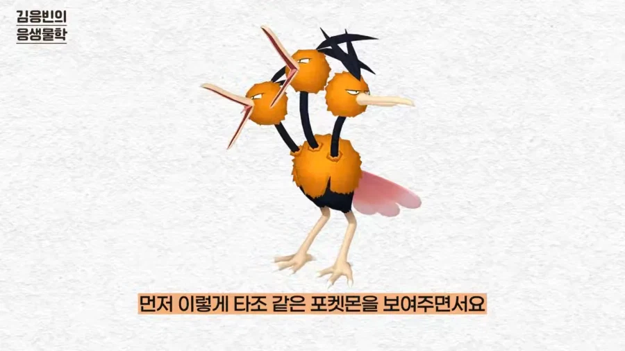 연세대 생물학 교수 유튜버가 포켓몬 컨텐츠를 시작한 이유_15.webp