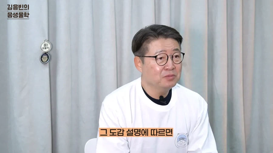 연세대 생물학 교수 유튜버가 포켓몬 컨텐츠를 시작한 이유_19.webp