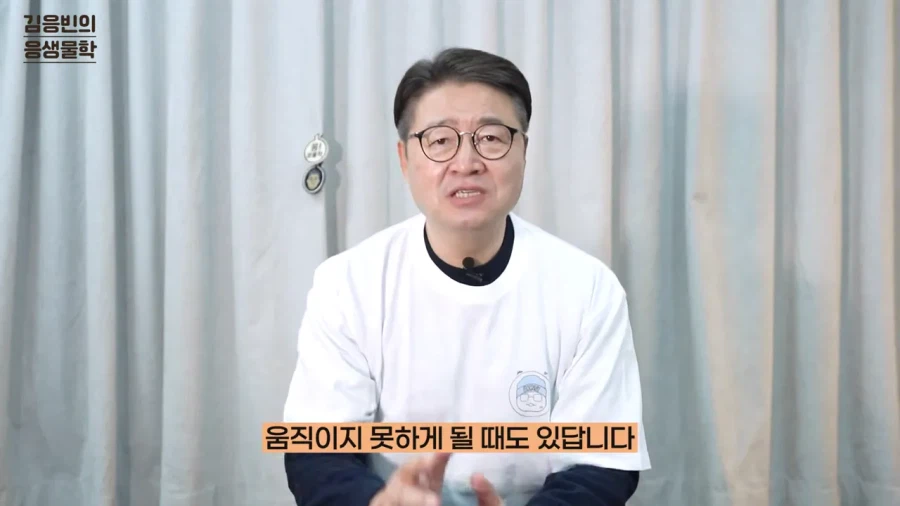 연세대 생물학 교수 유튜버가 포켓몬 컨텐츠를 시작한 이유_22.webp