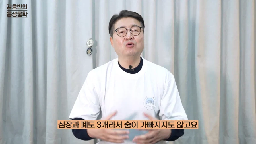 연세대 생물학 교수 유튜버가 포켓몬 컨텐츠를 시작한 이유_23.webp