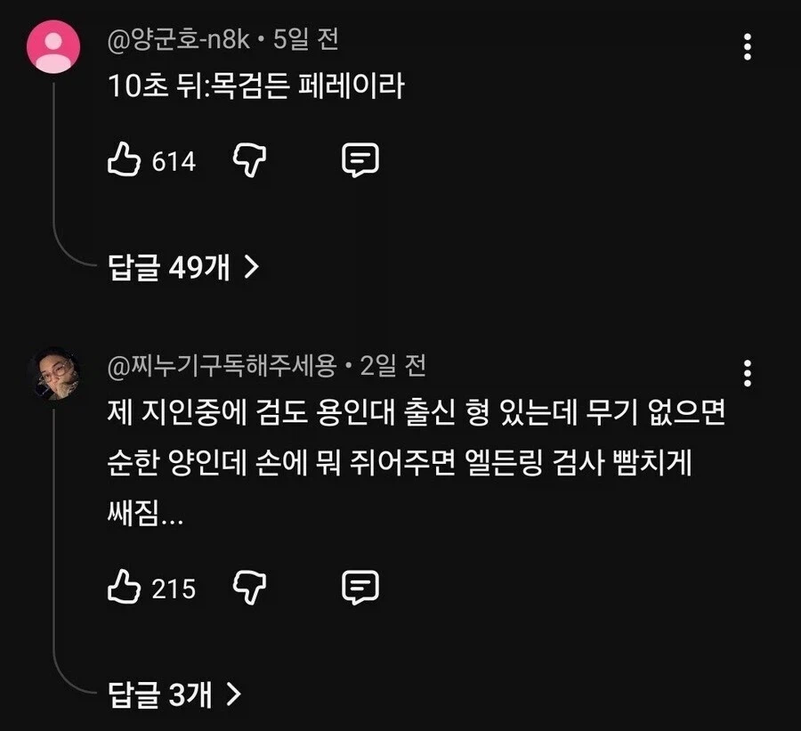 댓글 1000개 넘게 달리며 논란중인 검도 vs MMA.jpg_6.webp