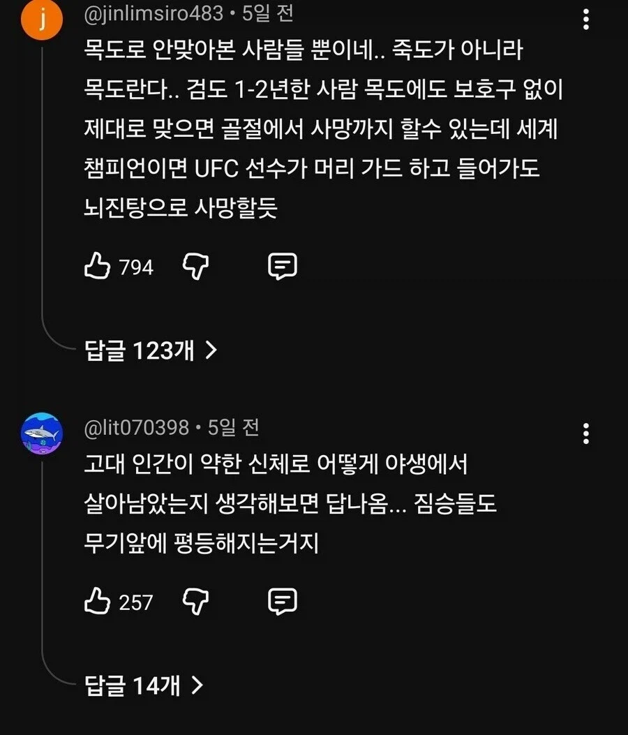 댓글 1000개 넘게 달리며 논란중인 검도 vs MMA.jpg_7.webp