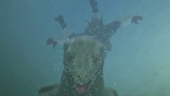 [가면라이더 히비키] 한번이라도 이기게 해주세요_22.jpg