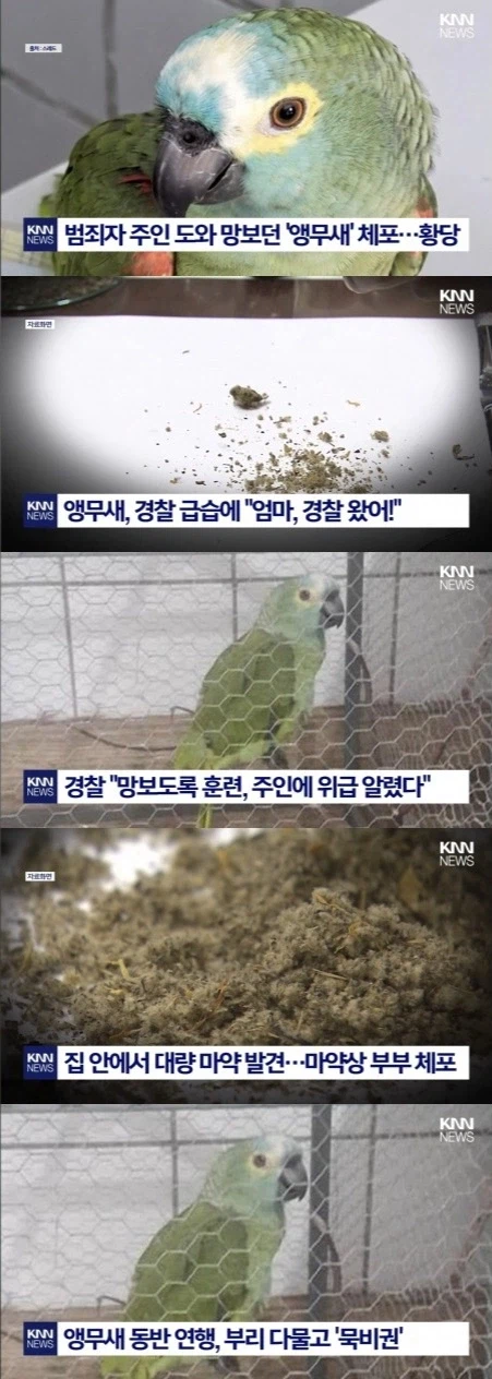 ???:DL6호 사건을 기억하라_1.webp