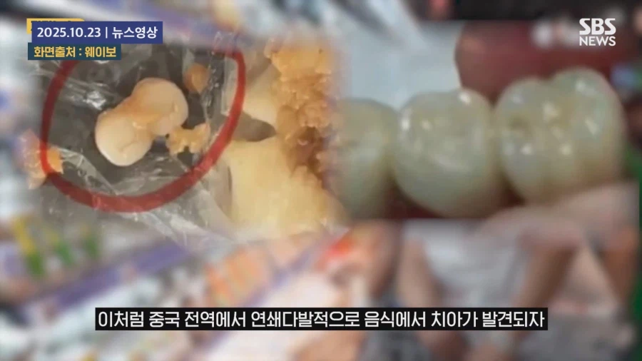 " 음식에 사람 고기를 섞은 것 아니냐 "_23.webp