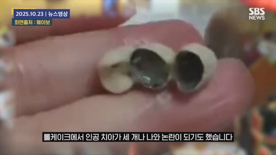 " 음식에 사람 고기를 섞은 것 아니냐 "_27.webp