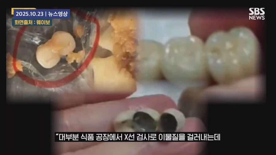 " 음식에 사람 고기를 섞은 것 아니냐 "_31.webp