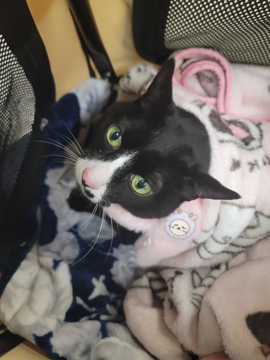 병원 다녀왔음_2.webp