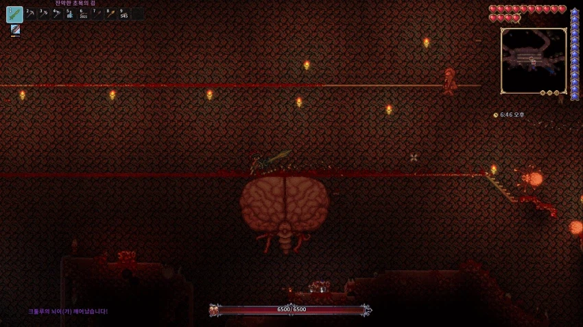 테라리아] 안해봤던 뇌라 행볶하다_2.webp