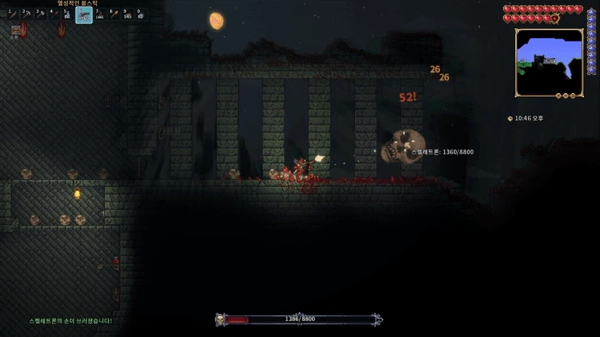 테라리아] 안해봤던 뇌라 행볶하다_3.webp