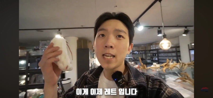 파충류 먹이용 쥐관련 놀라는 부분_4.webp