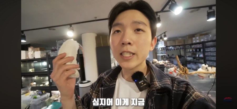 파충류 먹이용 쥐관련 놀라는 부분_10.webp