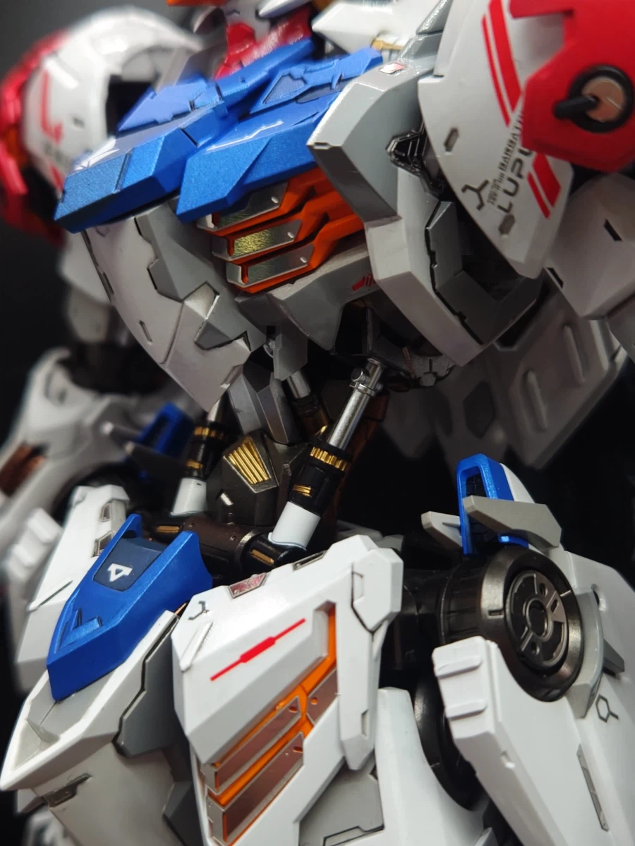 Mg 발바토스 루프스 커스텀 풀도색_2.webp