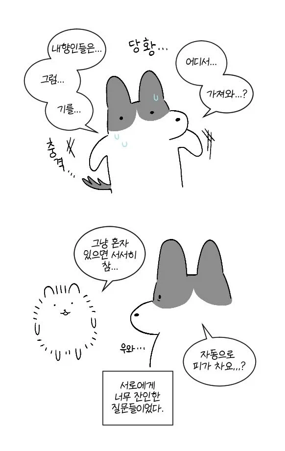 자신을 내향인이라 착각한 외향인_2.webp