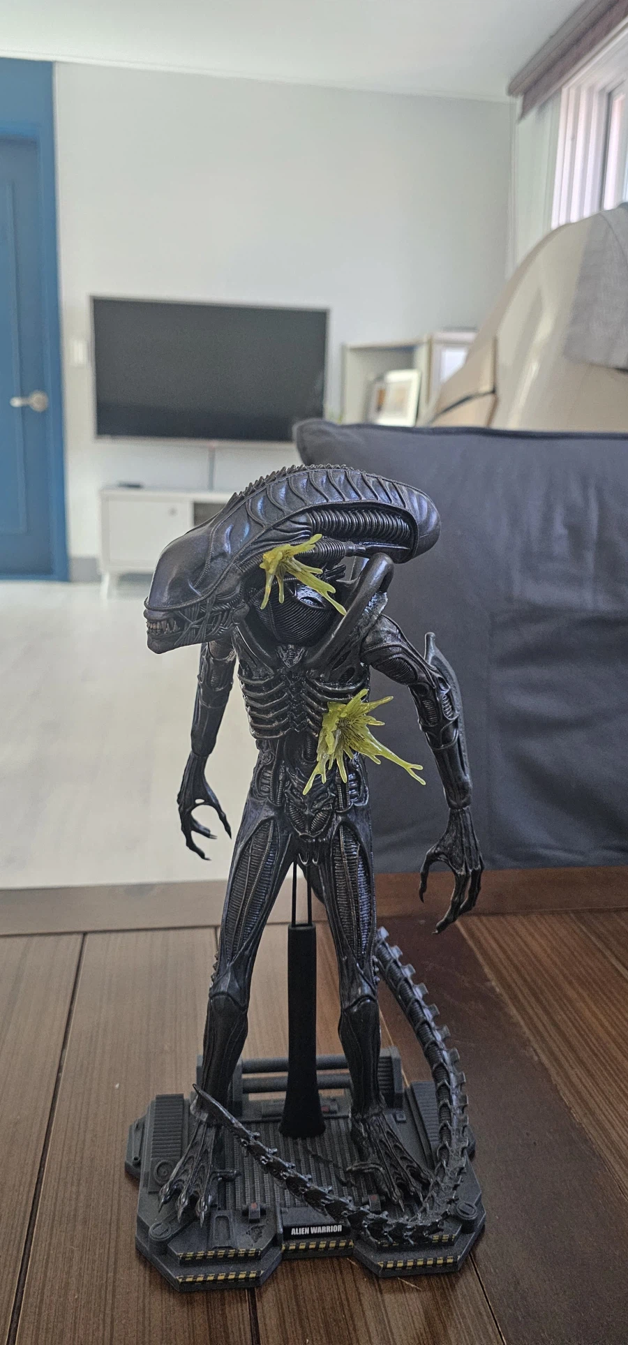수집한 핫토이 에일리언, 프레데터 들_5.webp