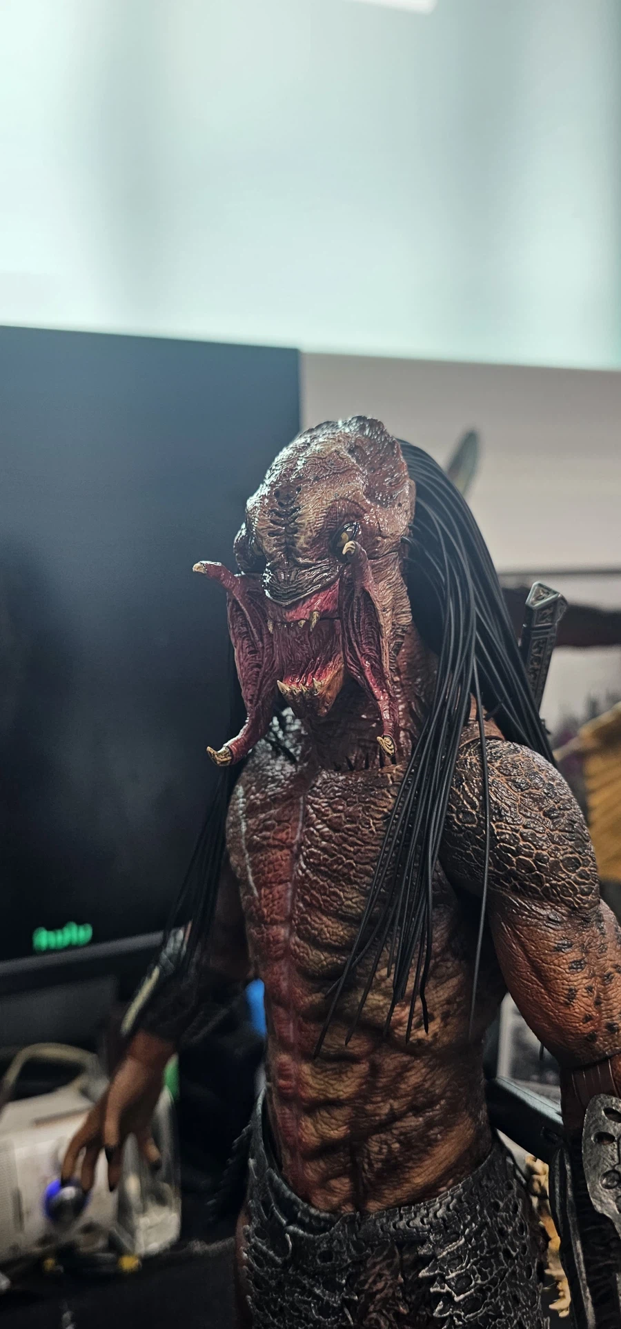 수집한 핫토이 에일리언, 프레데터 들_7.webp